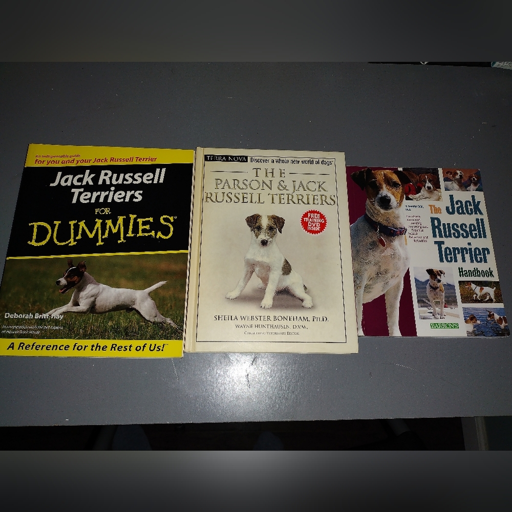 Jack Russell